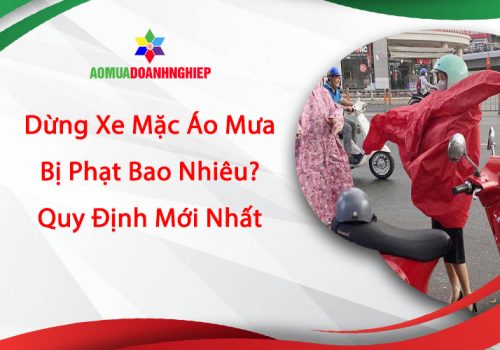 Dung-xe-mac-ao-mua-bi-phat-10
