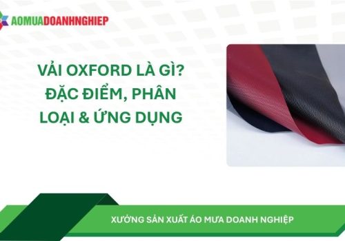 Vai-oxford-la-gi-02